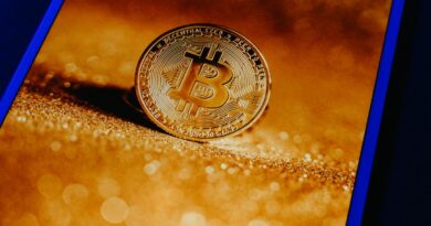 Nigel Farage-Led Reform UK Becomes First European Political Party to Accept Crypto Donations