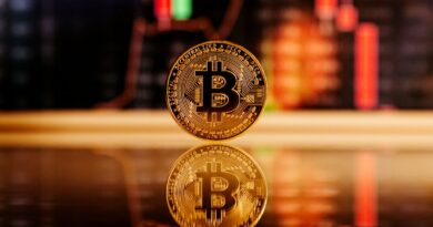 Elon Musk Announces ‘Bitcoin-Style’ XChat, But Tech Experts Are Skeptical