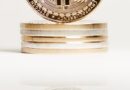 Whale Activity Surges as Bitcoin Builds Momentum Toward New Highs