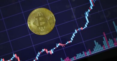 Cardano’s ADA Finds ‘Strong Support’ After Dramatic Price Swings Amid Heightened Volatility