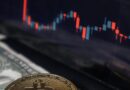 VeChain’s Sunny Lu Wants to Tokenize Sustainable ‘Human Behavior’ Like Driving a Tesla
