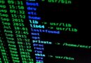 Stellar Performance From XLM as It Posts Top 24H Percentage Gain Among Top 20 Cryptos