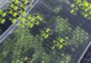 Circle Eyes $7.2B Valuation in Upsized U.S. IPO Amid Strong Investor Demand