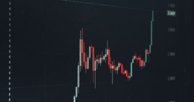 New Hampshire Tops List of Most Crypto-Friendly U.S. States: Study