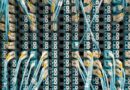 Is There a Future for DAOs?
