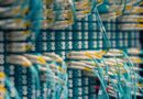 Bitcoin Cash Jumps to $480 as 24-Hour Trading Volume Spikes 22% Above Average