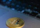 Cathie Wood’s ARK: Bitcoin’s Bullish Momentum Slows as Long-Term Holder Stacks Hit Record