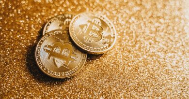 Vietnamese Woman Arrested in Thailand Over Alleged $300M Crypto Scam