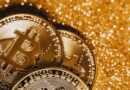 Gaming Studio Snail Explores Developing U.S. Dollar Stablecoin