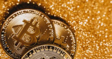 Gaming Studio Snail Explores Developing U.S. Dollar Stablecoin