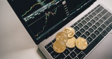 SHIB Surges on Massive Volume After Mid-Day Plunge