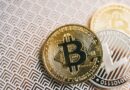 BONK Tests Support Levels After High-Volume Drop