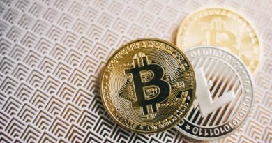 BONK Tests Support Levels After High-Volume Drop