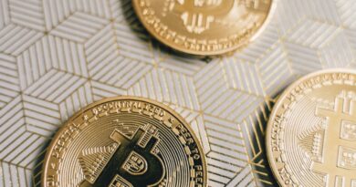 Stablecoins Are About to Hit ‘Critical Mass’ While 2027 Seen as Pivotal Year