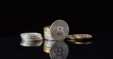 Polygon Holds 3% Advance, Outperforming Broader Market