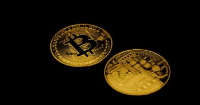 Chainlink Gains as Exchange Outflows Point to Strong Accumulation