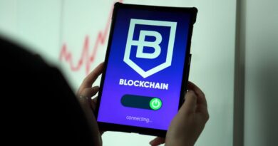 No U.S. Bitcoin Reserve Plans as White House Touts Crypto Report